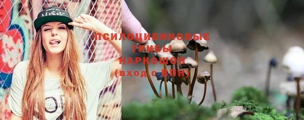 PSILOCYBIN Алексин