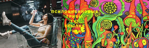 каннабис Алзамай