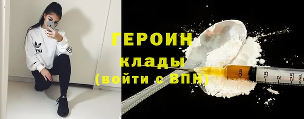 индика Гусиноозёрск