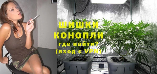каннабис Алзамай