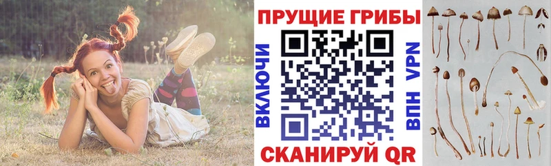 Галлюциногенные грибы Magic Shrooms  где найти   Липки 